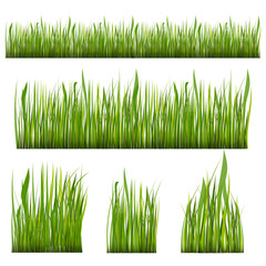 Green Grass Borders Set, Vector Illustration