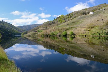 reflection of the beach and the sky in the river	