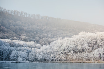 Winter landscape