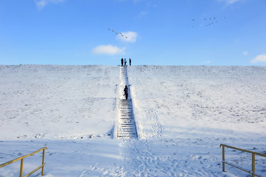 Fototapeta Ludzie oglądają przez lornetkę ptaki w locie zimą.
