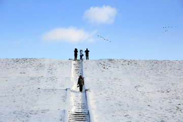 Ludzie oglądają przez lornetkę ptaki w locie zimą.