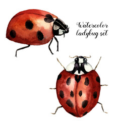 Fototapeta premium Watercolor ladybug set. Collection with ladybird. Insect illustration isolated on white background. For design or print