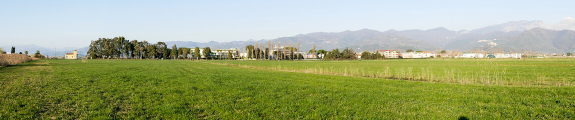 Fototapeta na wymiar panoramic view of the meadow in luni