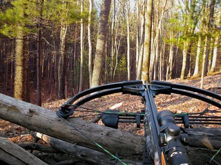  crossbow resting on tree trunk in autumn woods © driftwood