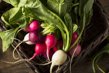 Raw Organic Muli Colored Easter Radishes