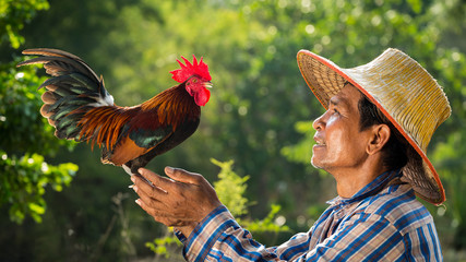 Farmer and his chicken