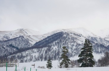 Fototapeta premium Beautiful landscape in snow