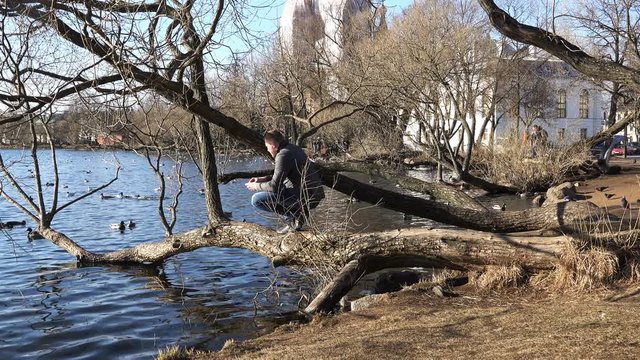 a man climbed a tree and throws bread crumbs in the water and feeds the ducks floating