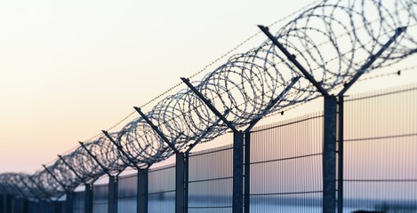 Sharp barbed wire on fence