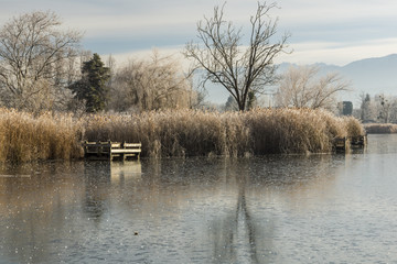 Lac Saint André - Les Marches - Savoie.