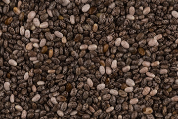 Chia seeds closeup