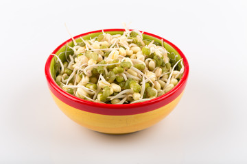 Pea seeds with sprouts close up