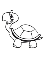 Turtle cute sweet funny witty