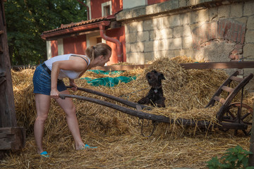 Beautiful young girl and her dog black schnauzer on a farm