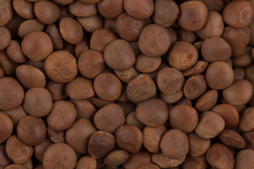 Fototapeta na wymiar Brown lentils close up