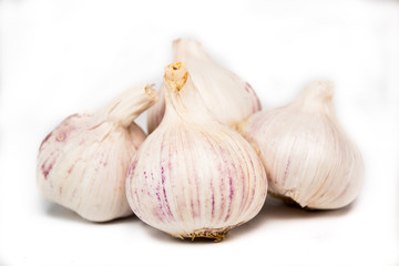 Garlic on the white background