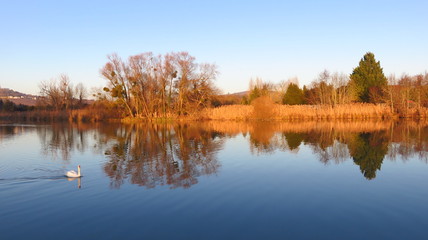 Reflets sur la Marne (France)