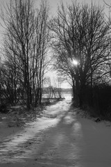 Obraz premium Winter landscape - fields covered with snow