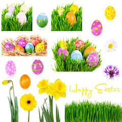 Easter decorative elements. Grass, painted eggs, flowers and nests