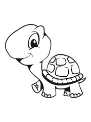 Turtle cute darling funny