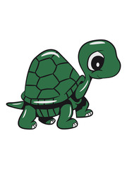 Turtle sweet dear