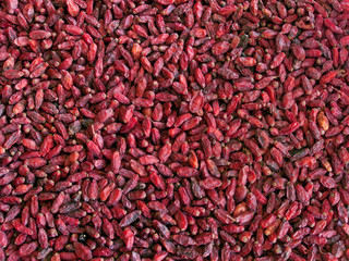 red spicy barberries background