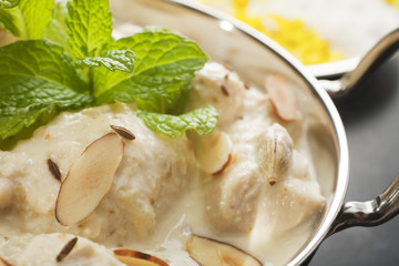 Indian Curry Chicken Korma Close-up