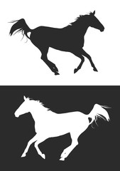 Fototapeta na wymiar horse silhouette