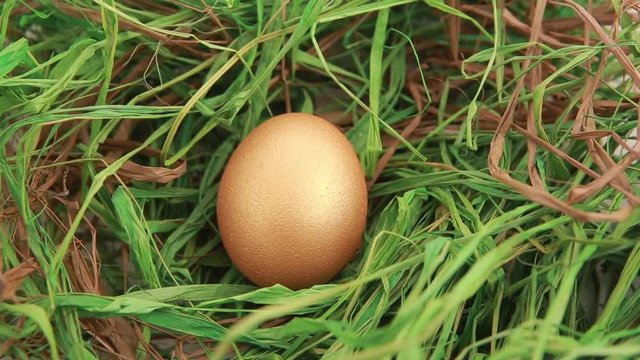 Golden Easter egg on grass