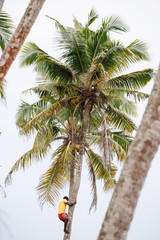 Fototapeta na wymiar Beautiful landscape tropical beach.