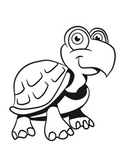 Fototapeta premium Turtle cute child-loving