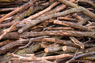 Pile of firewood. Preparation for the winter in the village