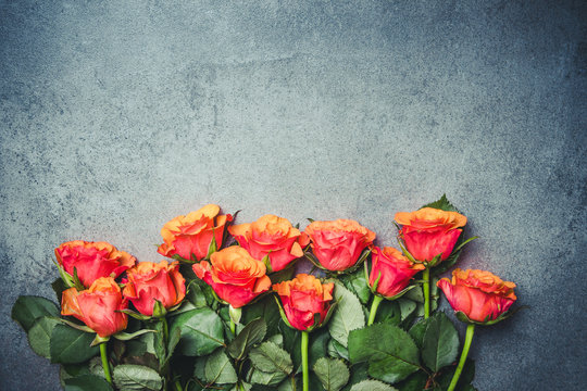 Fototapeta Red roses flowers on gray grunge surface.