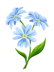 Three blue flowers isolated on a white background. Vector illustration.