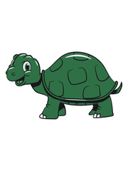 Turtle cute children