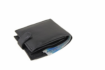 Wallet with money