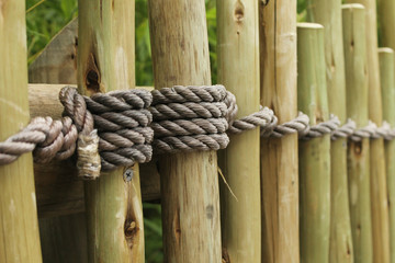 Bamboo and Rope