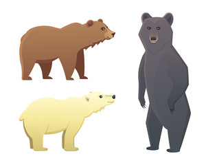 Collection with different cartoon bears isolated on white background. Vector broun and black american bear. Set Wildlife or zoo grizzly.