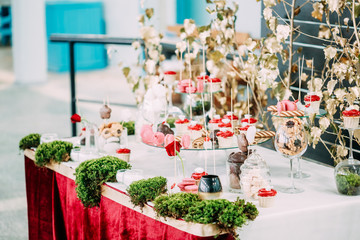 Dessert Sweet Tasty Cupcakes, Macarons And Cookies In Candy Bar 