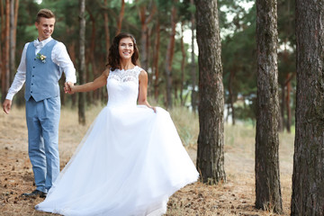 Happy wedding couple walking in coniferous forest