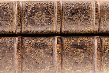 Ancient books spines