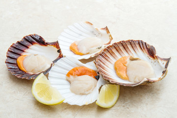 gruppo di capesante fresche