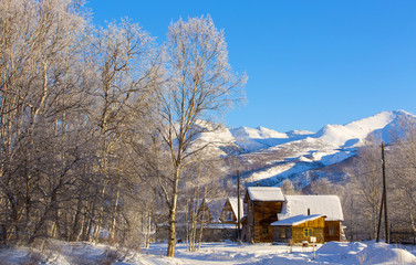 Beautiful winter rural landscape