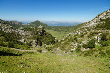 Fototapeta na wymiar Picos de Europa mountains, Asturias, Spain.