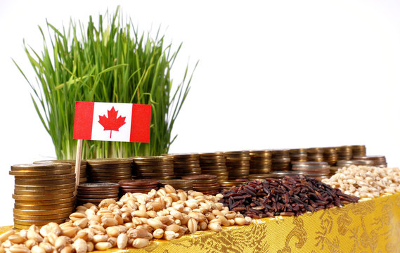 Canada Flag Waving With Stack Of Money Coins And Piles Of Wheat