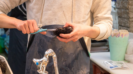 Selling raw sea urchin in the market