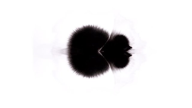 Ink Rorschach test