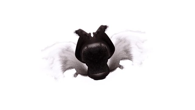 Ink Rorschach test