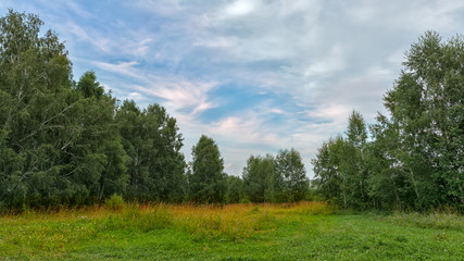 Obraz premium Summer landcsape