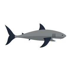 Obraz premium Vector shark character.